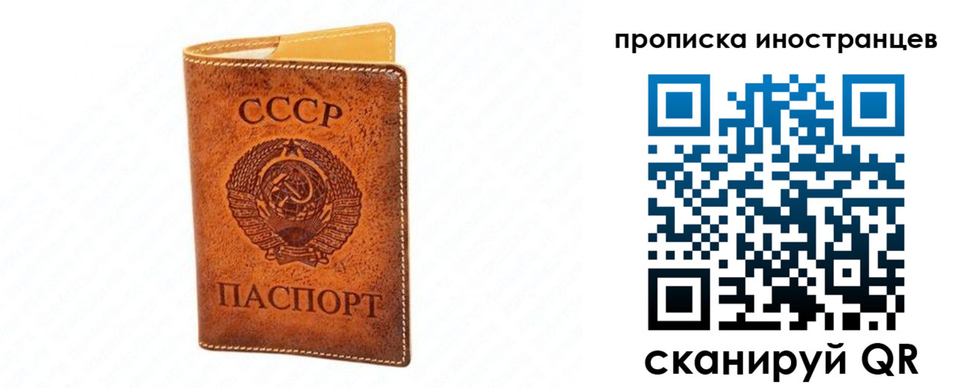 прописка для школы в Кызыле